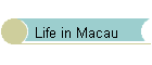 Life in Macau